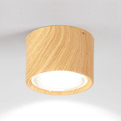 Frendorf | LED Plafondspot Cilinder | Verstelbaar Spotlight Design