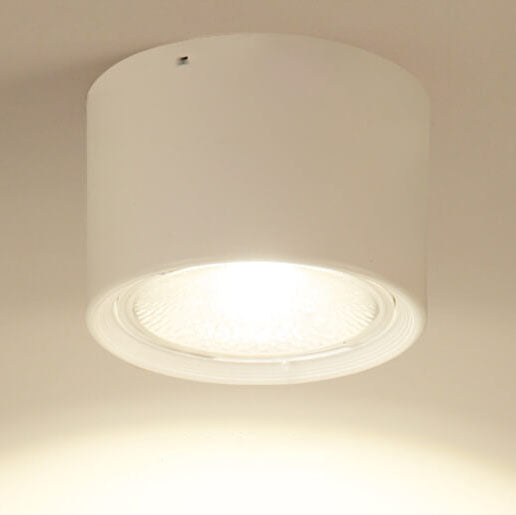 Frendorf | LED Plafondspot Cilinder | Verstelbaar Spotlight Design