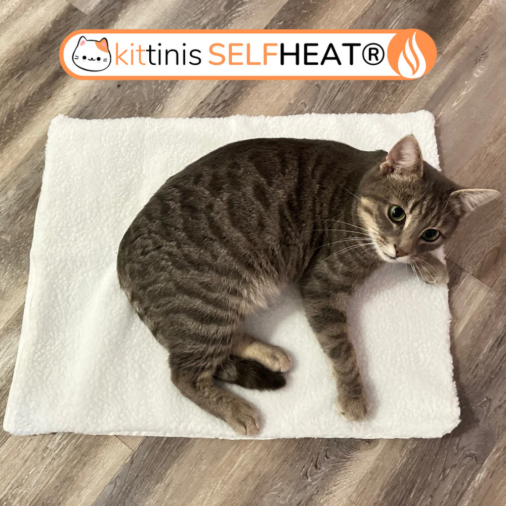 CozyWarm Pad | Straalt warmte uit voor je harige vriend