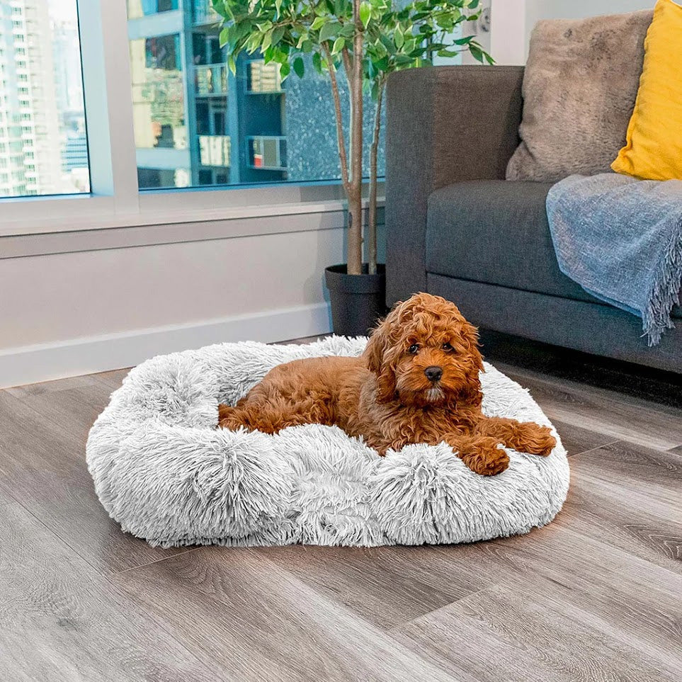 Orthopedisch Geheugenfoam Hondenbed met Waterdichte Voering – Groot Comfortabel Hondenbed voor Betere Slaap en Ondersteuning
