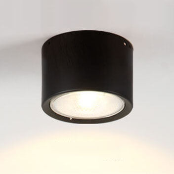 Frendorf | LED Plafondspot Cilinder | Verstelbaar Spotlight Design