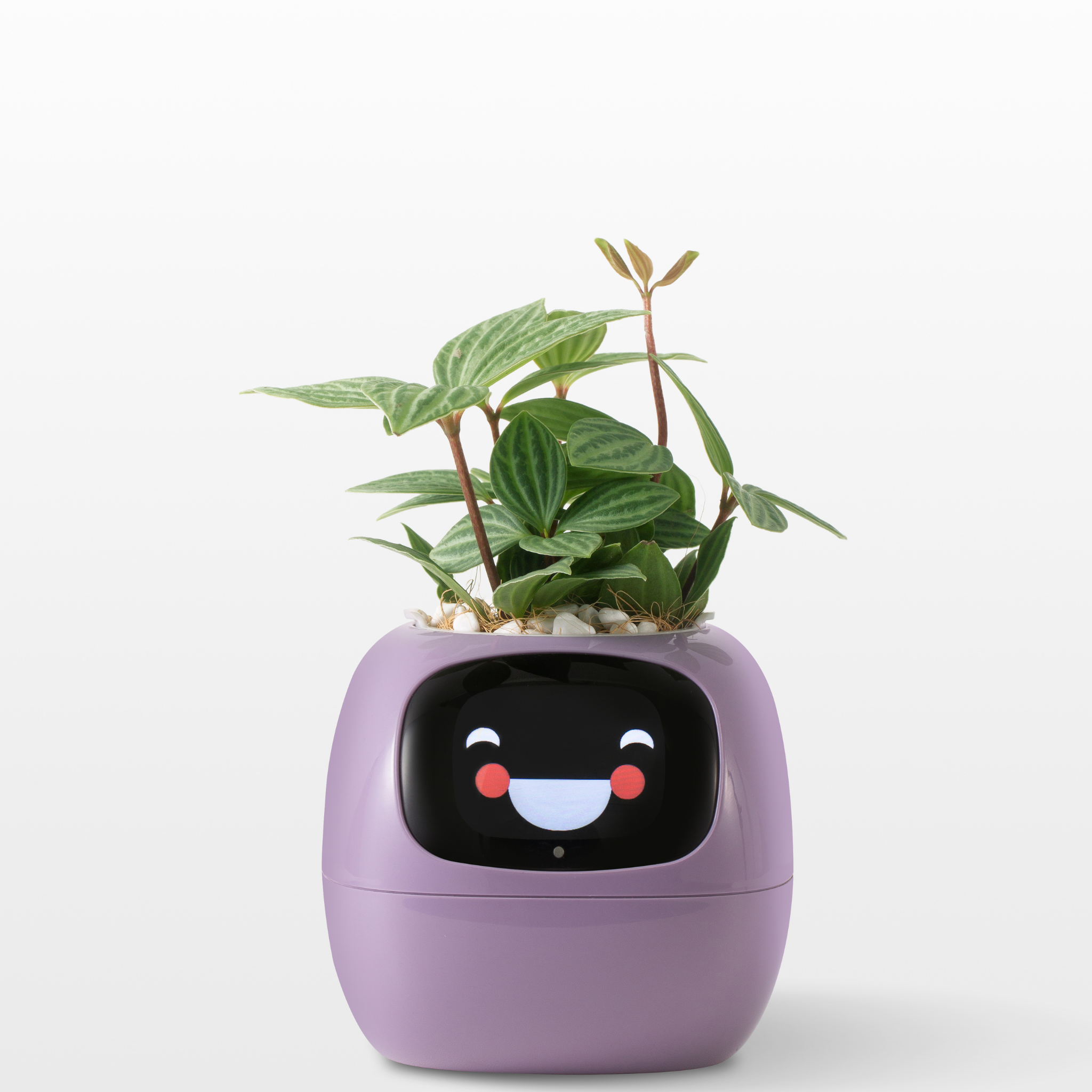 EmojiPlant | Creatieve Emoji Bloempot