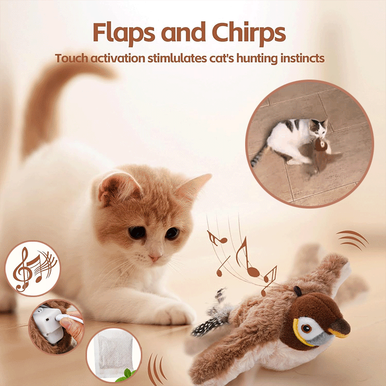 ChirpBuddy – Interactief Vogel Speelgoed voor Katten