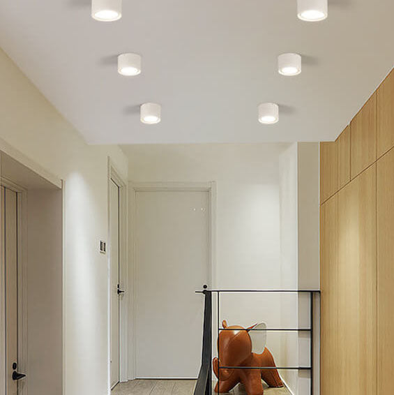 Frendorf | LED Plafondspot Cilinder | Verstelbaar Spotlight Design