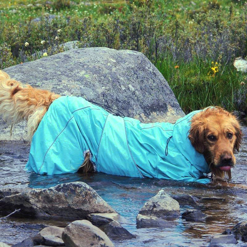 Waterdichte Hondenregenjas – Verstelbare Outdoor Jas voor Honden
