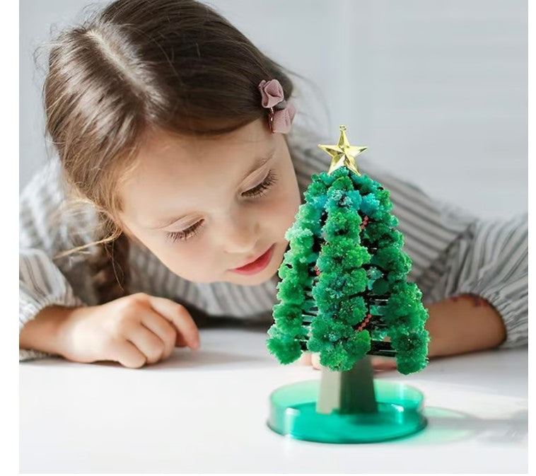 MagicGrow Kerstboom | Zie de magie van Kerstmis ontvouwen