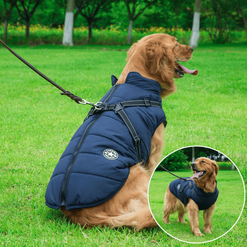 PupGuard - Winter-Hondjas met Harnas
