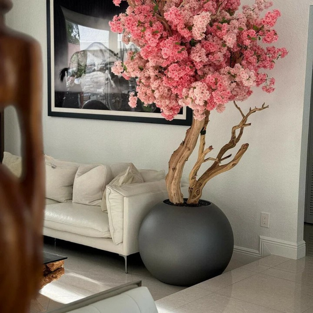Matte Globe Kersenbloesemboom