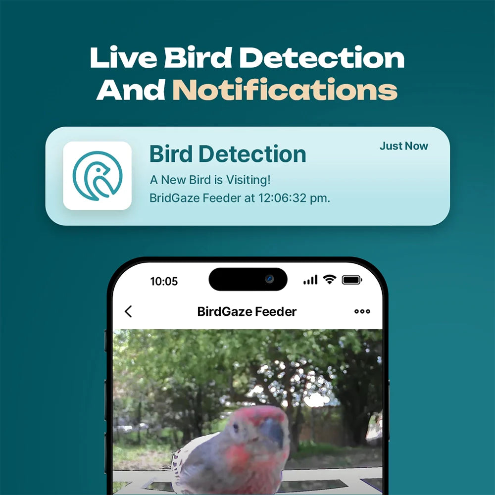 BirdView Smart Feeder | Contact met de natuur als nooit tevoren