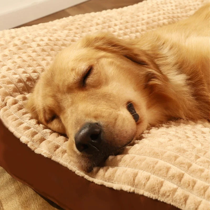 SnoozePaw Luxe Hondenbed – Robuuste Schuim, Afneembare Hoezen en Optimale Ondersteuning
