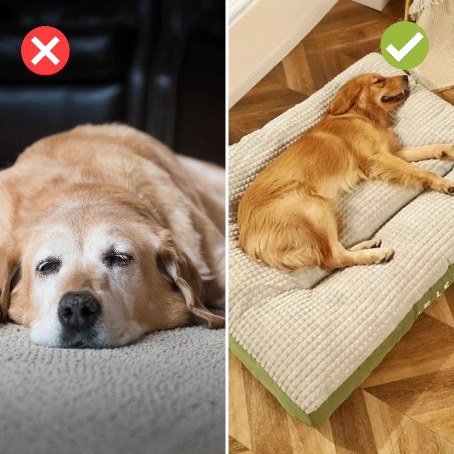 SnoozePaw Luxe Hondenbed – Robuuste Schuim, Afneembare Hoezen en Optimale Ondersteuning