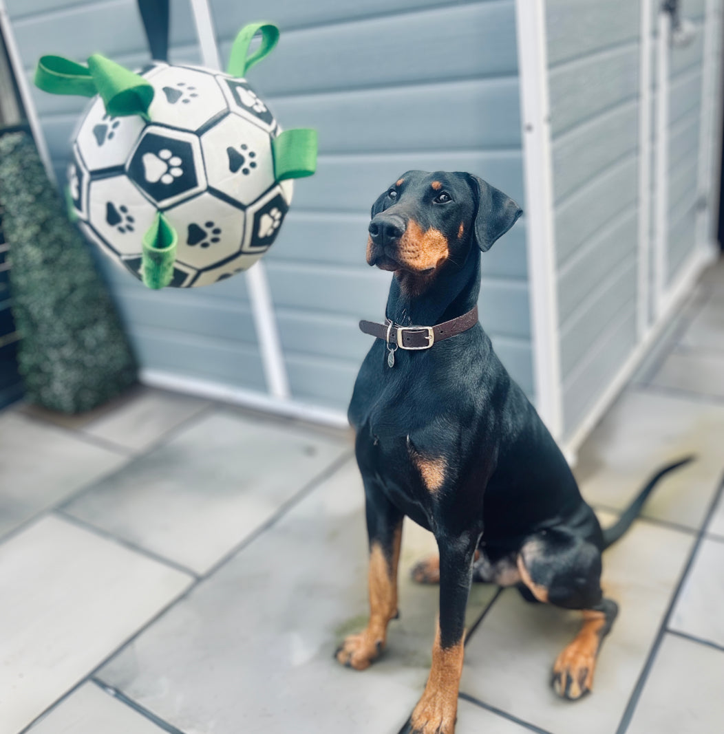 CanineElegance Luxe Voetbal | Duurzaam en plezierig speelplezier voor honden
