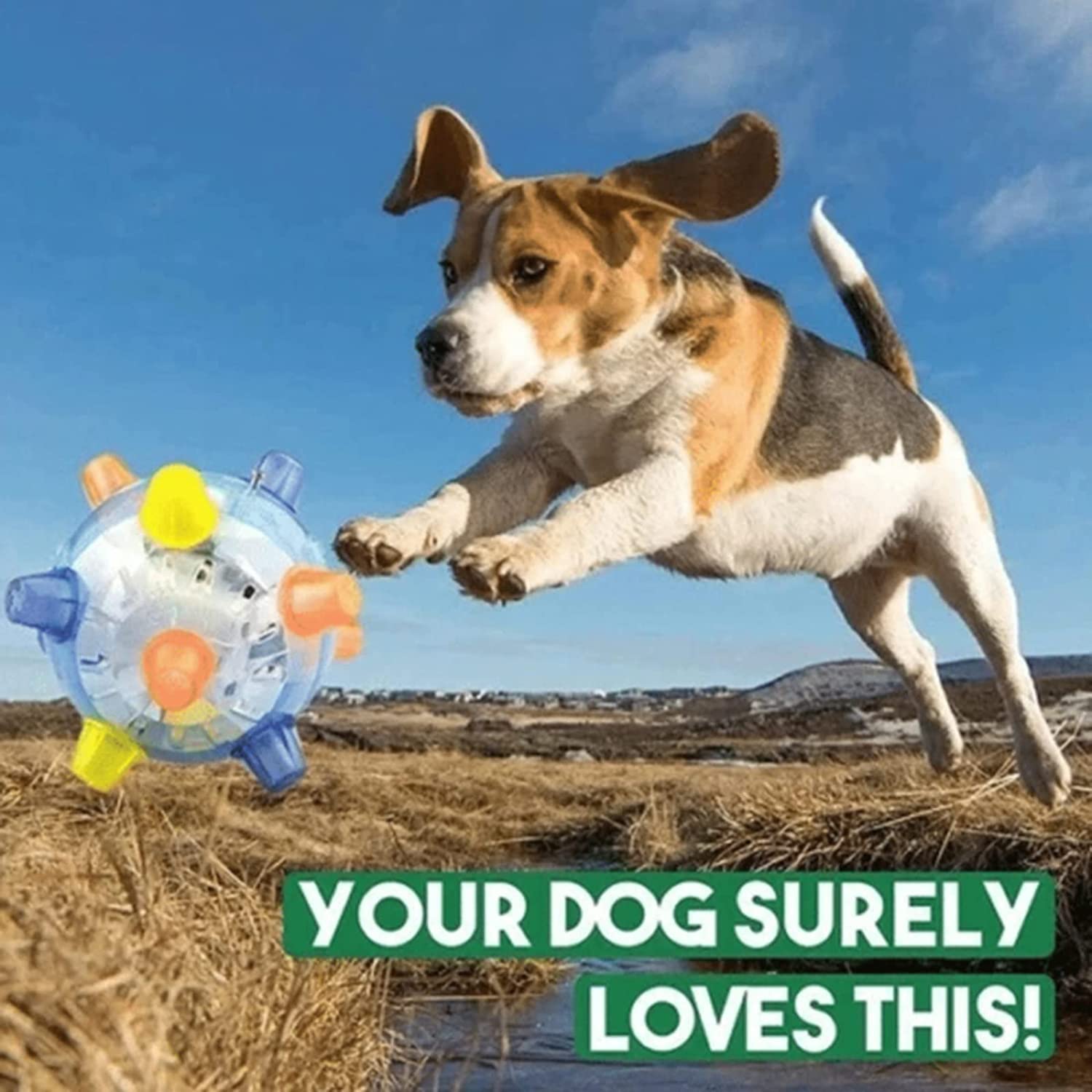 1+1 GRATIS | BounceBuddy – De interactieve springbal voor honden!