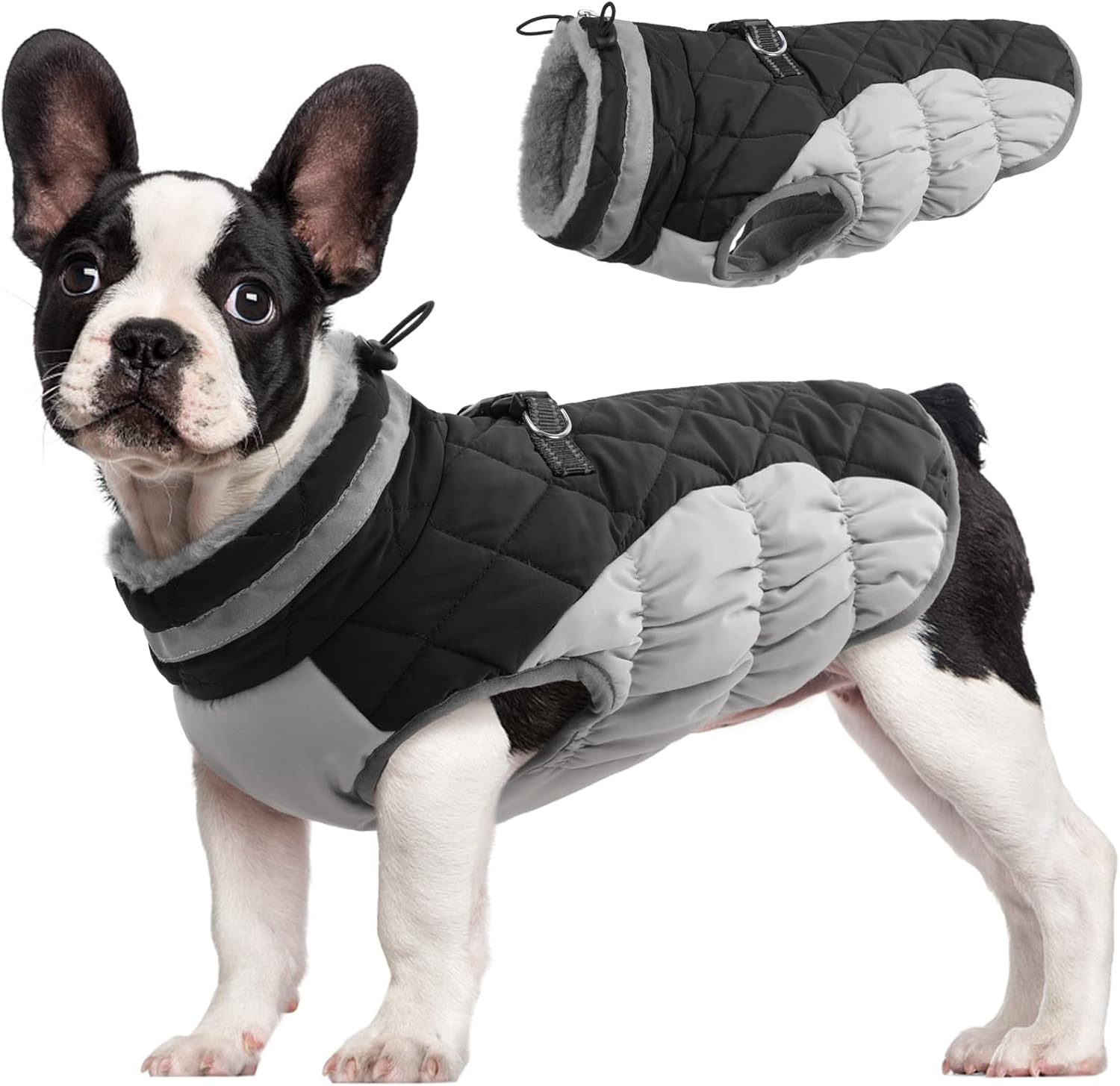 SafeWalk Winterharnas Jas – Waterdichte hondenjas met reflectie en fleecevoering