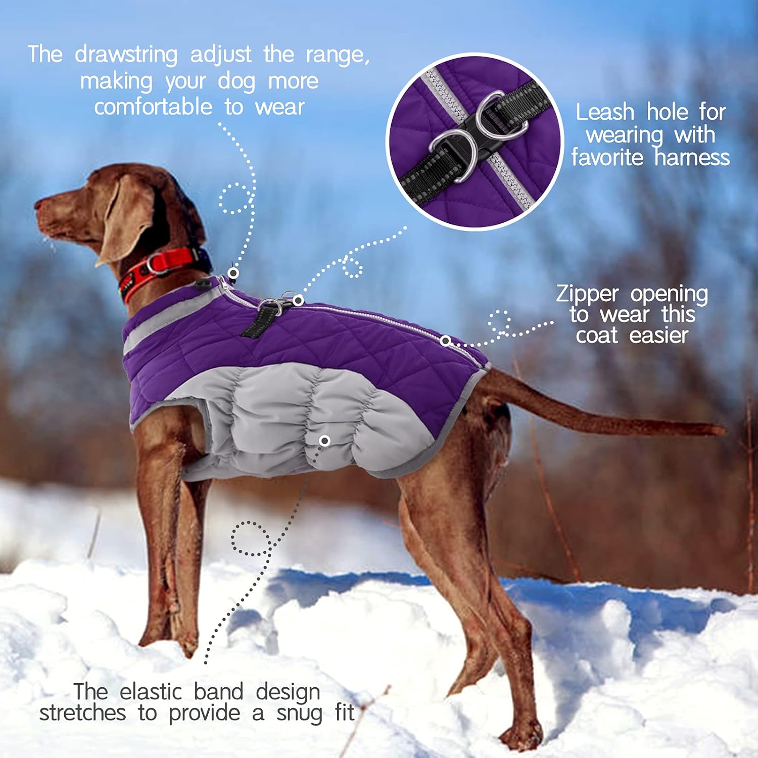 SafeWalk Winterharnas Jas – Waterdichte hondenjas met reflectie en fleecevoering