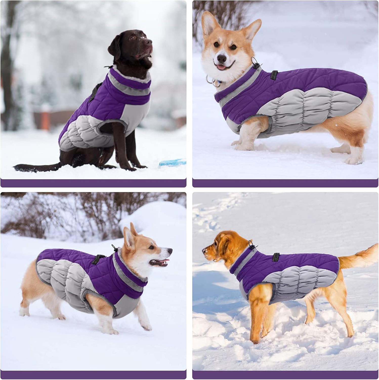 SafeWalk Winterharnas Jas – Waterdichte hondenjas met reflectie en fleecevoering