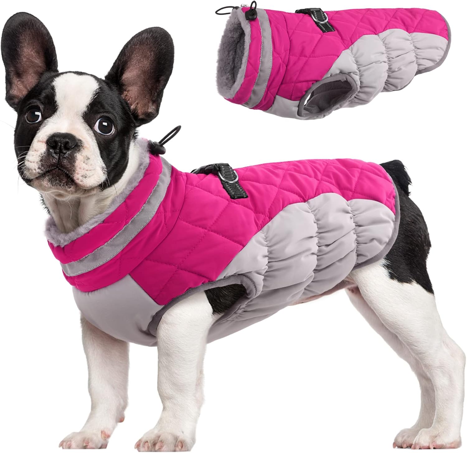 SafeWalk Winterharnas Jas – Waterdichte hondenjas met reflectie en fleecevoering