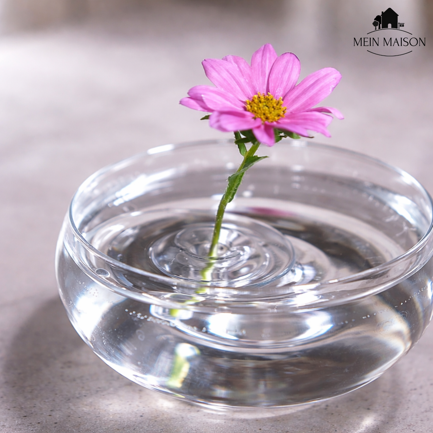 5+5 GRATIS | BloomRise – Houdt bloemen meteen perfect rechtop en indrukwekkend