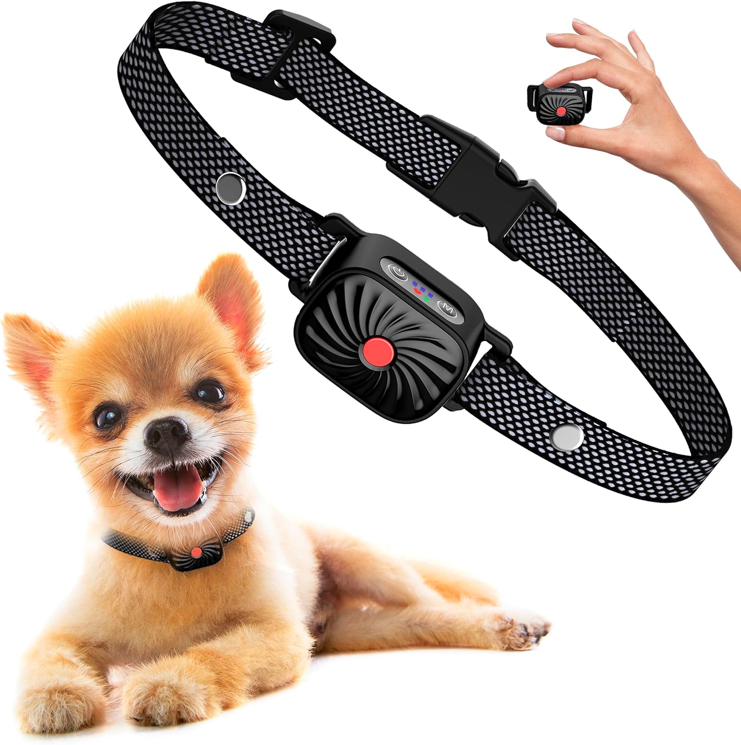 Antiblaashalsband voor kleine honden