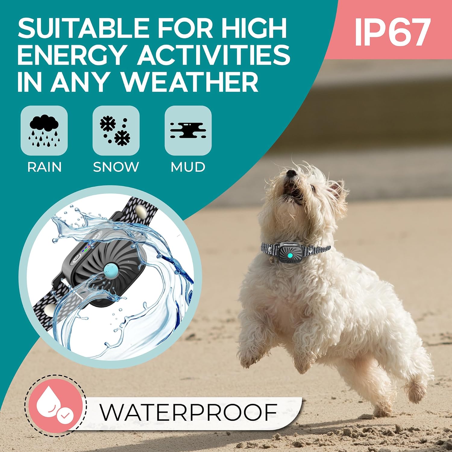 Anti-blafband voor kleine honden