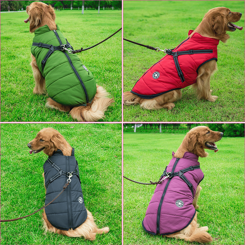 PupGuard - Winter-Hondjas met Harnas