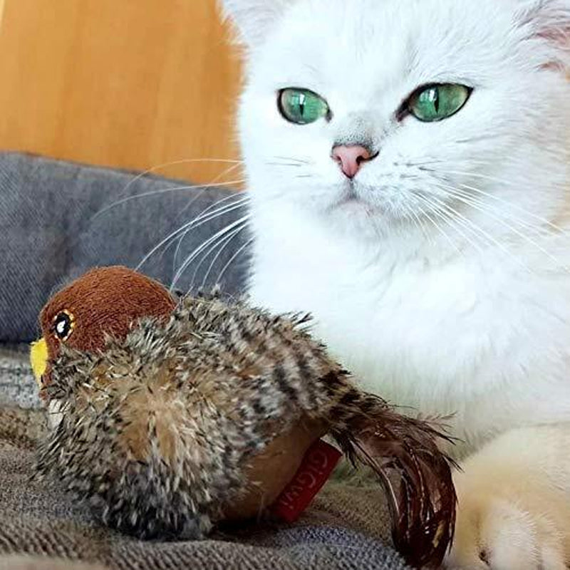 BirdyPurr - De veilige speelkameraad voor uw kat!