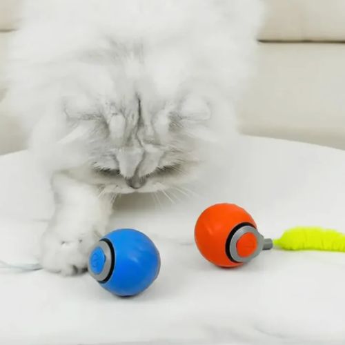 PurrPlay Interactieve Rollende Bal | Slim plezier voor uw harige vrienden