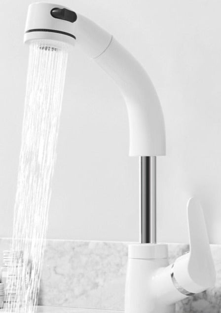 FlexiStream | Verstelbare Badkamerkraan met Uittrekbare Functie en Elegante Afwerking