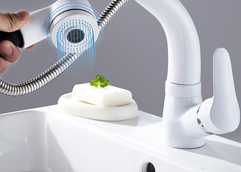 FlexiStream | Verstelbare Badkamerkraan met Uittrekbare Functie en Elegante Afwerking