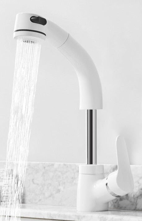 FlexiStream Verstelbare Badkamerkraan Uittrek Elegante Afwerking