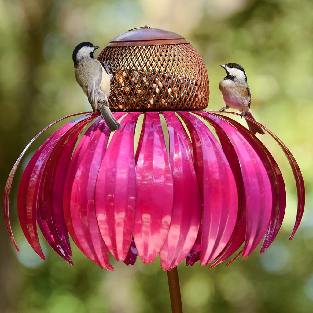 Vogelfutterhuis – 50% KORTING vandaag!