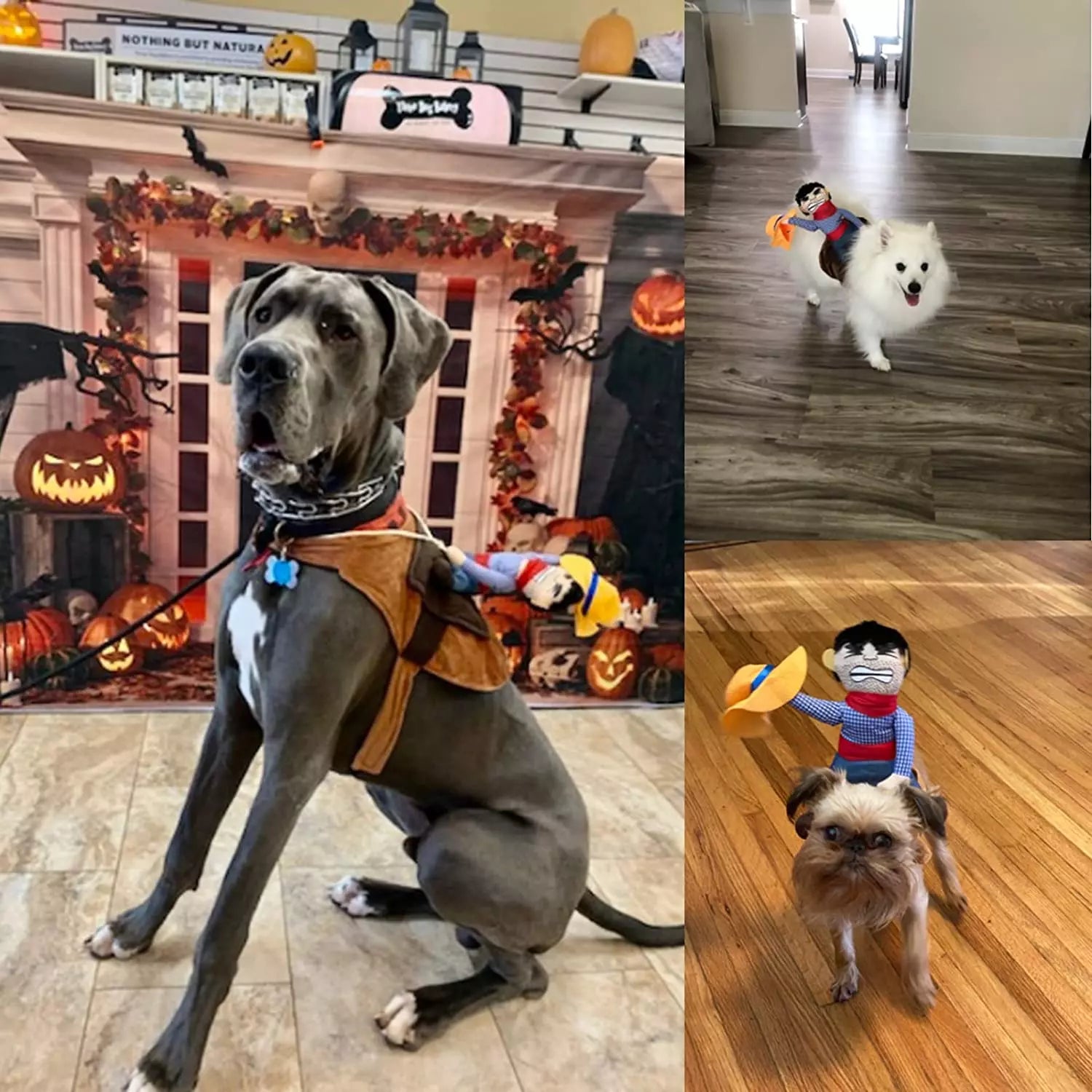 Halloween Cowboy Hond Kostuum Outfit