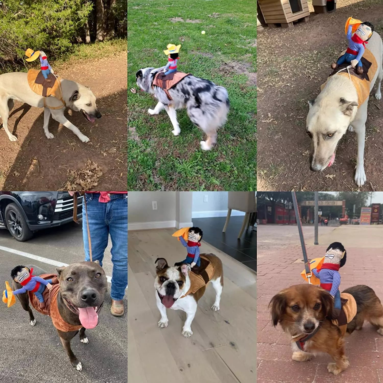 Halloween Cowboy Hond Kostuum Outfit