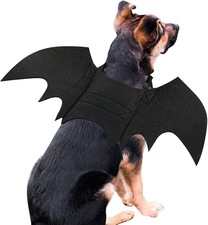 Halloween Hondenkostuum Vleermuisvleugels