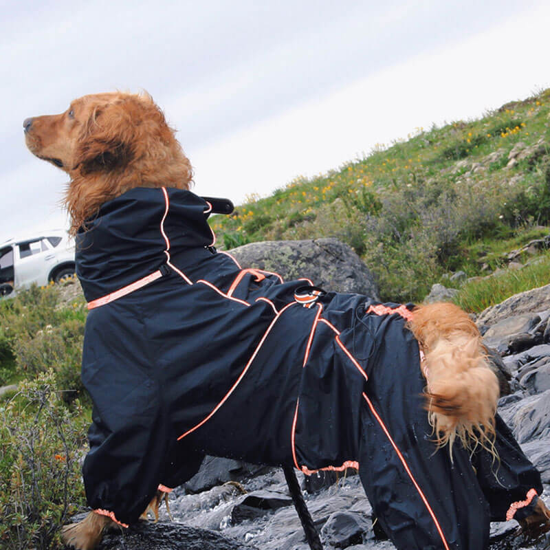 Waterdichte Hondenregenjas – Verstelbare Outdoor Jas voor Honden