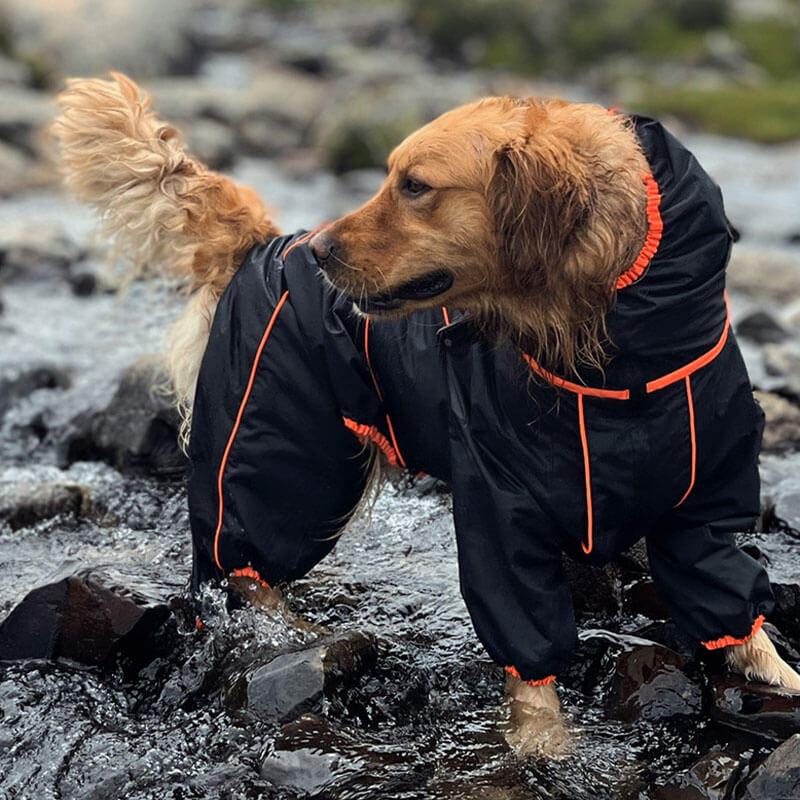 Waterdichte Hondenregenjas – Verstelbare Outdoor Jas voor Honden