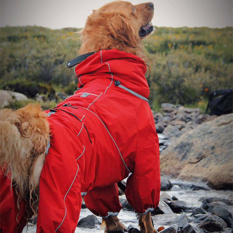 Waterdichte Hondenregenjas – Verstelbare Outdoor Jas voor Honden