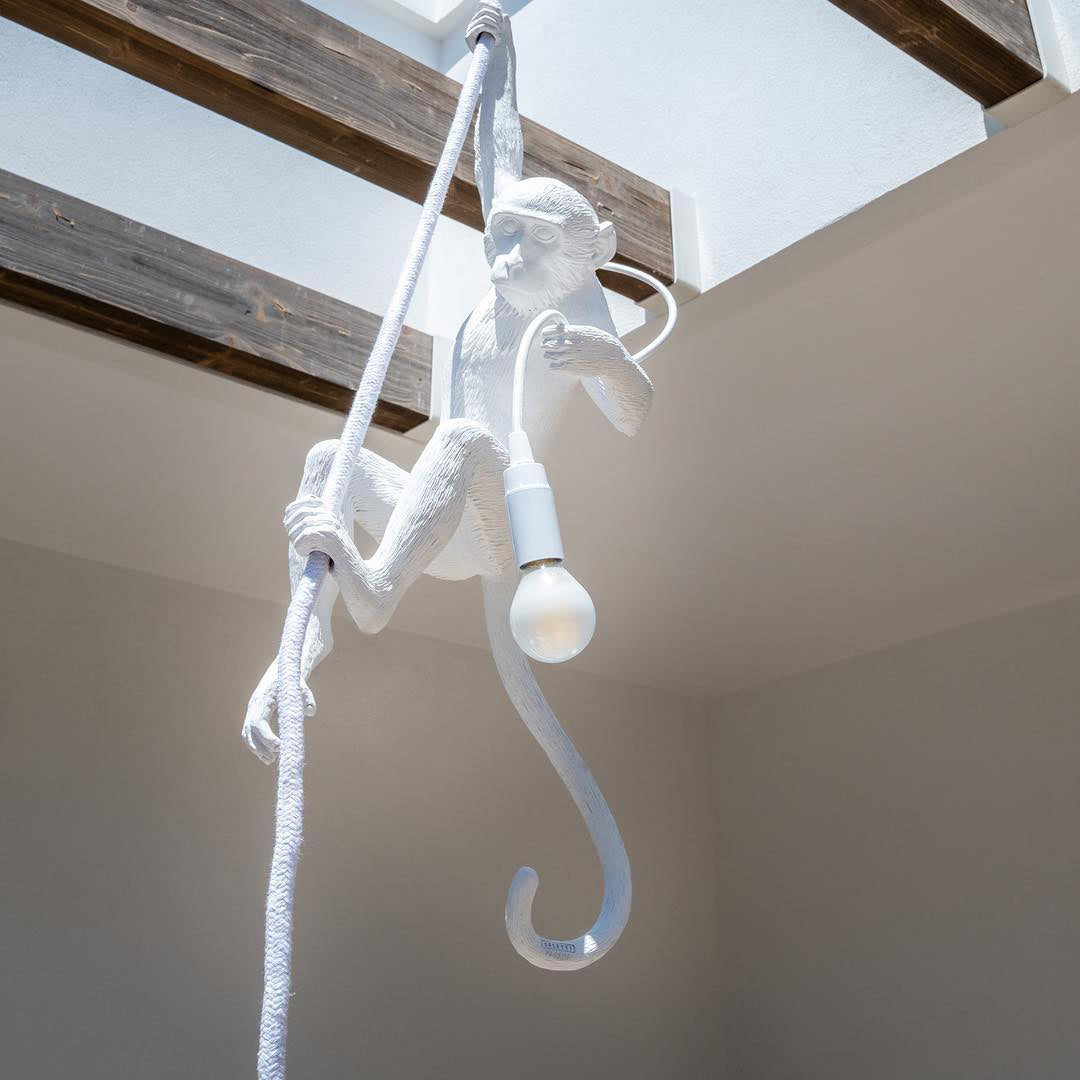 Frendorf | Aap Hanglamp | Sculpturaal Design Object