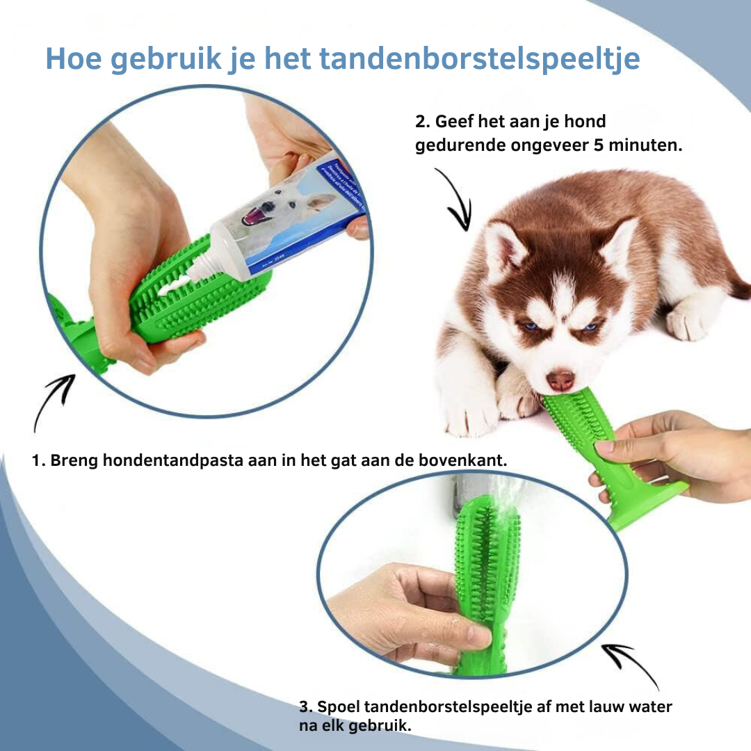 Duurzaam Hondentandenborstel Speelgoed – Sterk Natuurrubber Kauwspeelgoed voor Tandheelkundige Gezondheid en Frisse Adem