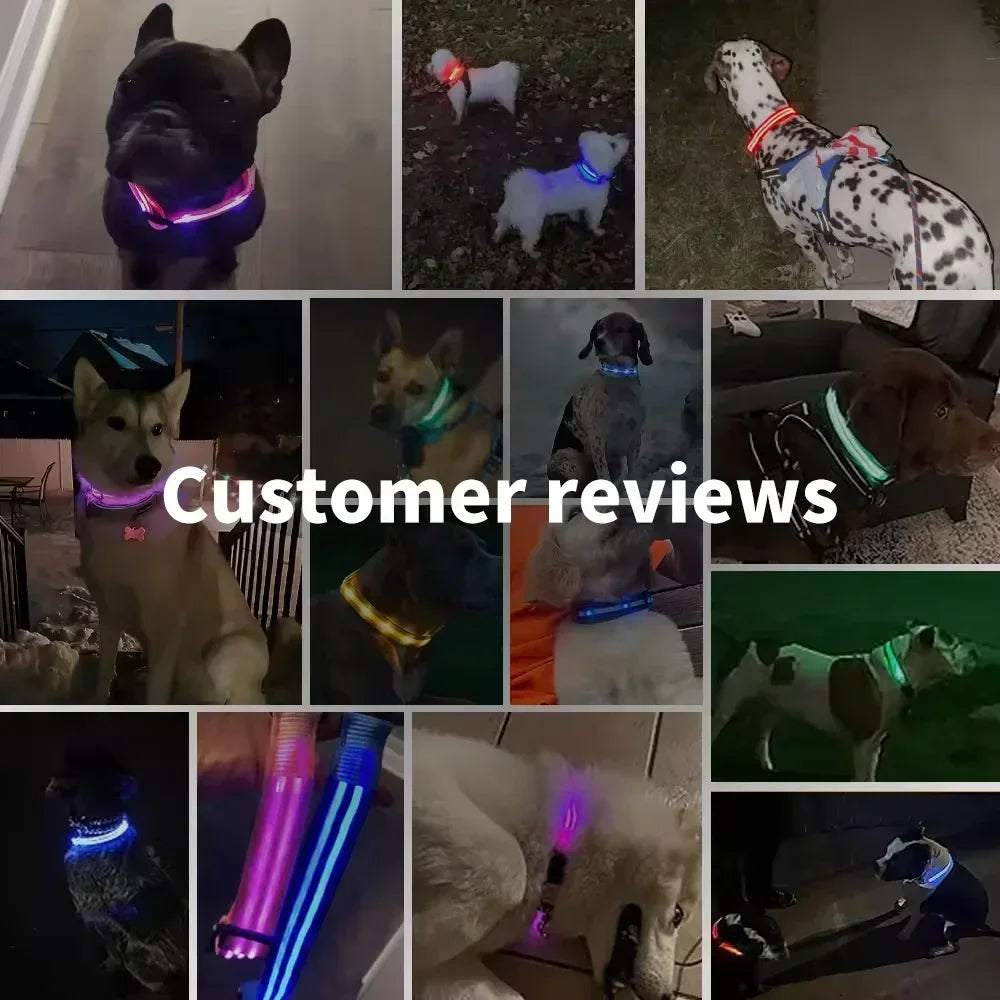LUXPETS GlowSafe LED Hondenhalsband | Verlicht & Oplaadbaar | Verstelbaar & Waterdicht | Anti-Verlies in de Nacht