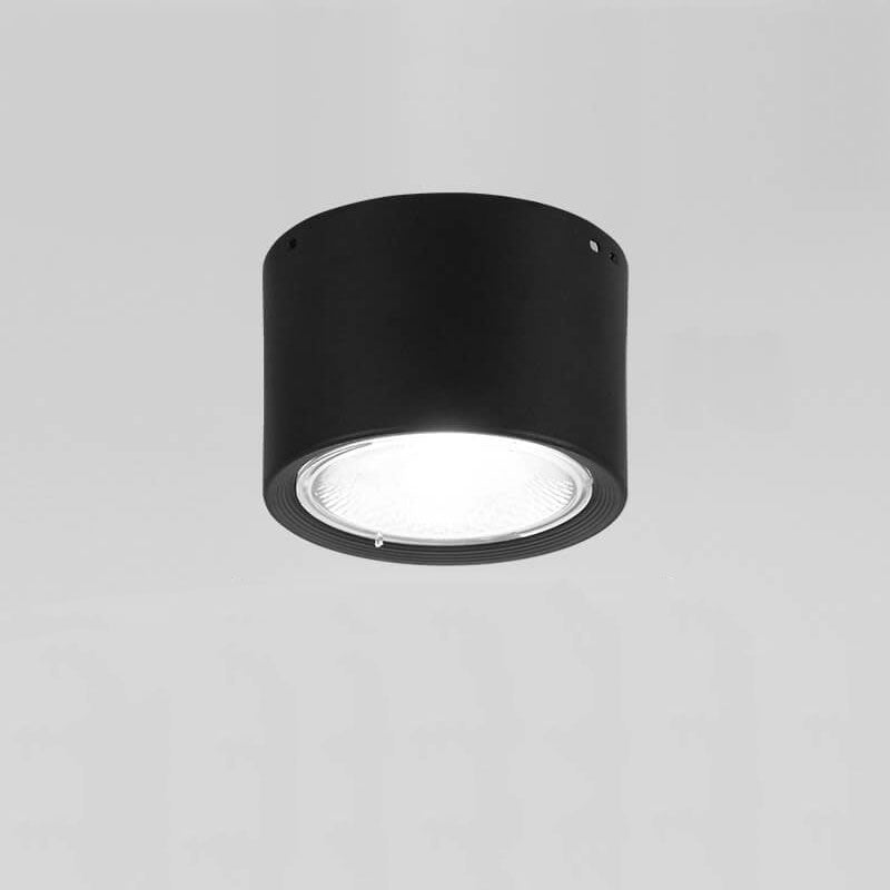 Frendorf | LED Plafondspot Cilinder | Verstelbaar Spotlight Design