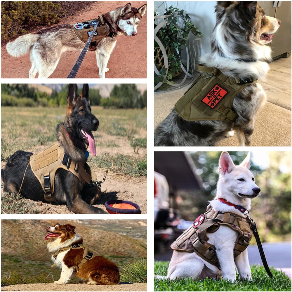 Guardpaw Tactische Hondenharnas met Handgreep - Duurzaam, Verstelbaar, Leash Set