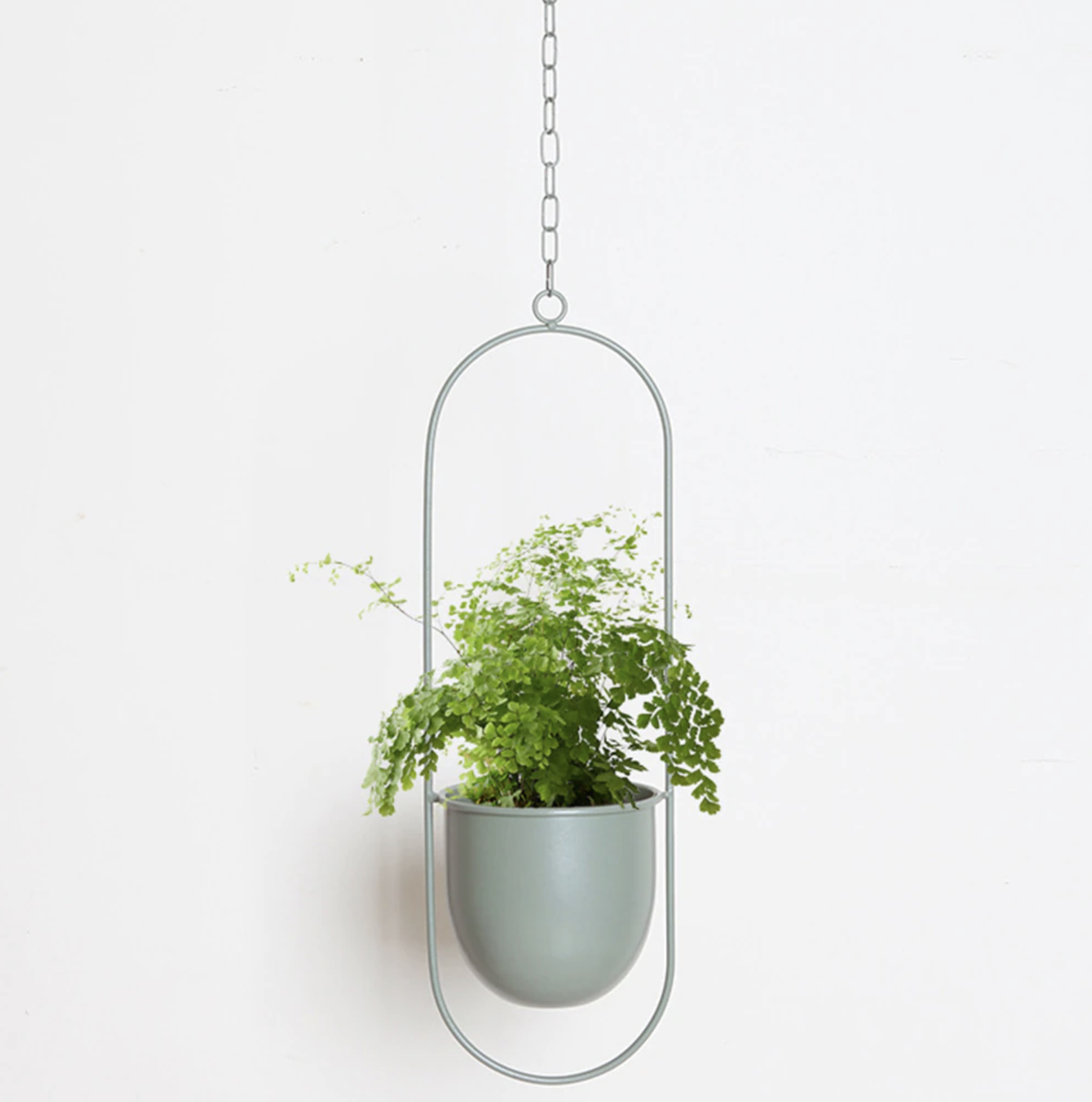 FloraFrame – Elegante metalen plantenhouder voor muur of plafond