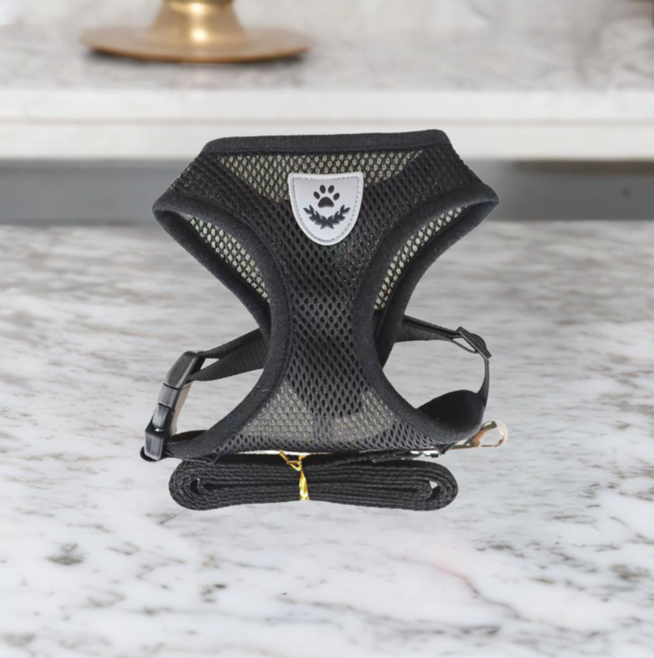 Comfortabele Kat Harnas en Leash Set, Verstelbaar Ademend Ontwerp voor Veilige Buitenavonturen – Beste Kat Harnas voor Kittens en Katten