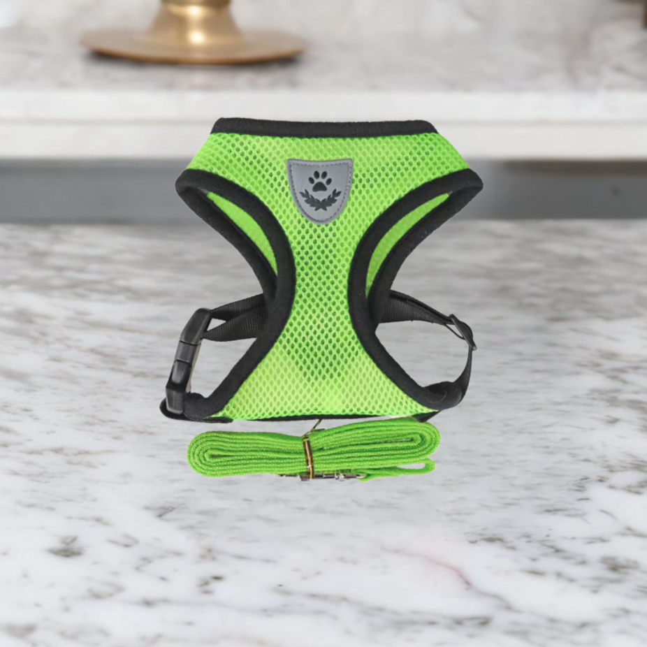 Comfortabele Kat Harnas en Leash Set, Verstelbaar Ademend Ontwerp voor Veilige Buitenavonturen – Beste Kat Harnas voor Kittens en Katten