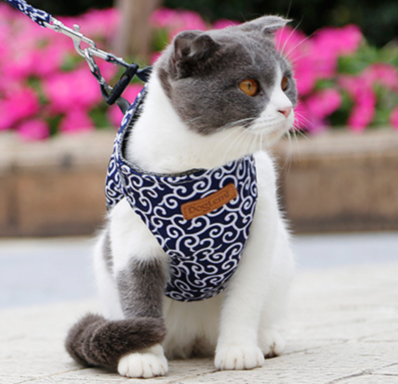 Stijlvol Kattenharnas met Bijpassende Leash - Comfortabel en Gemakkelijk te Dragen, Verstelbare Pasvorm voor Katten en Kittens
