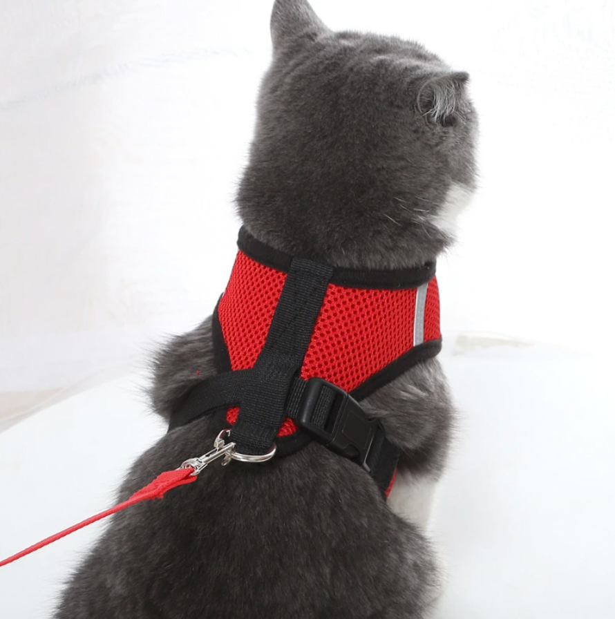 Comfortabele Kat Harnas en Leash Set, Verstelbaar Ademend Ontwerp voor Veilige Buitenavonturen – Beste Kat Harnas voor Kittens en Katten