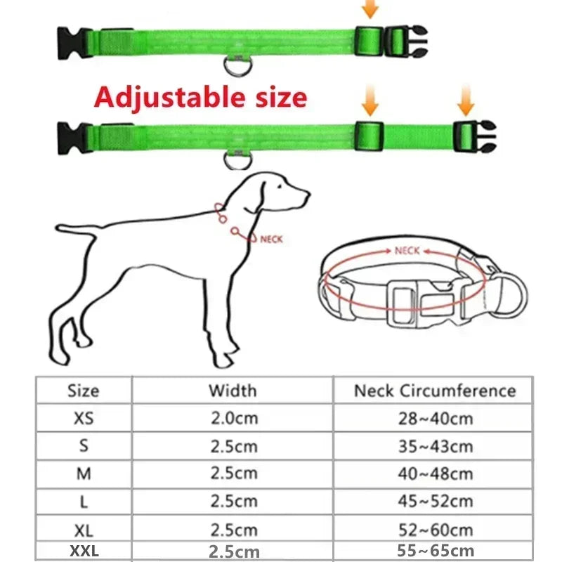 LUXPETS GlowSafe LED Hondenhalsband | Verlicht & Oplaadbaar | Verstelbaar & Waterdicht | Anti-Verlies in de Nacht