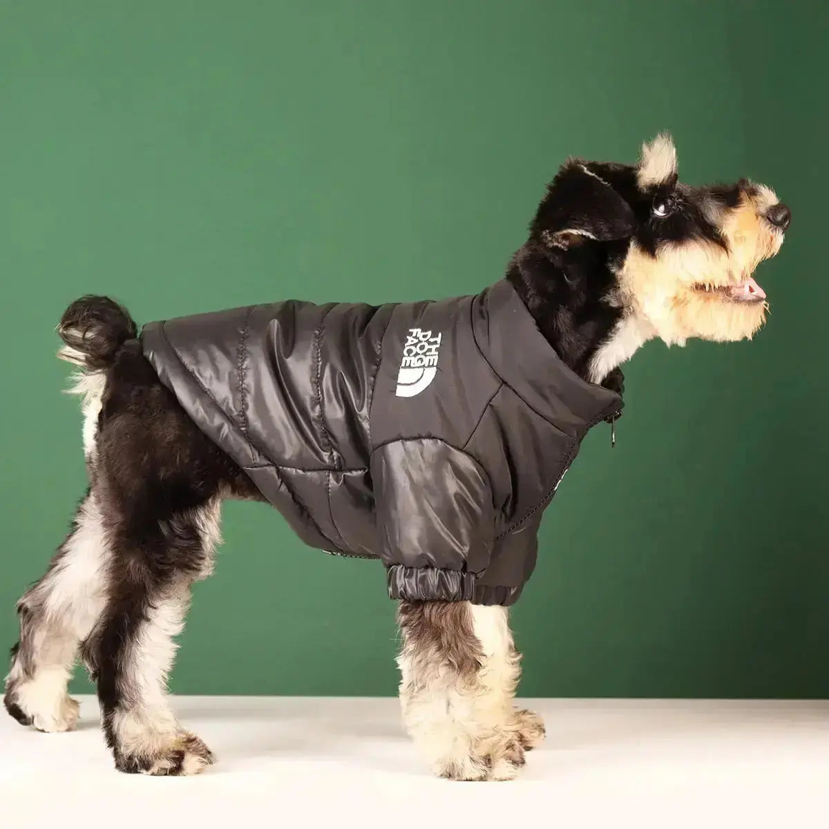 Die Dog Face Jacke - Typ A
