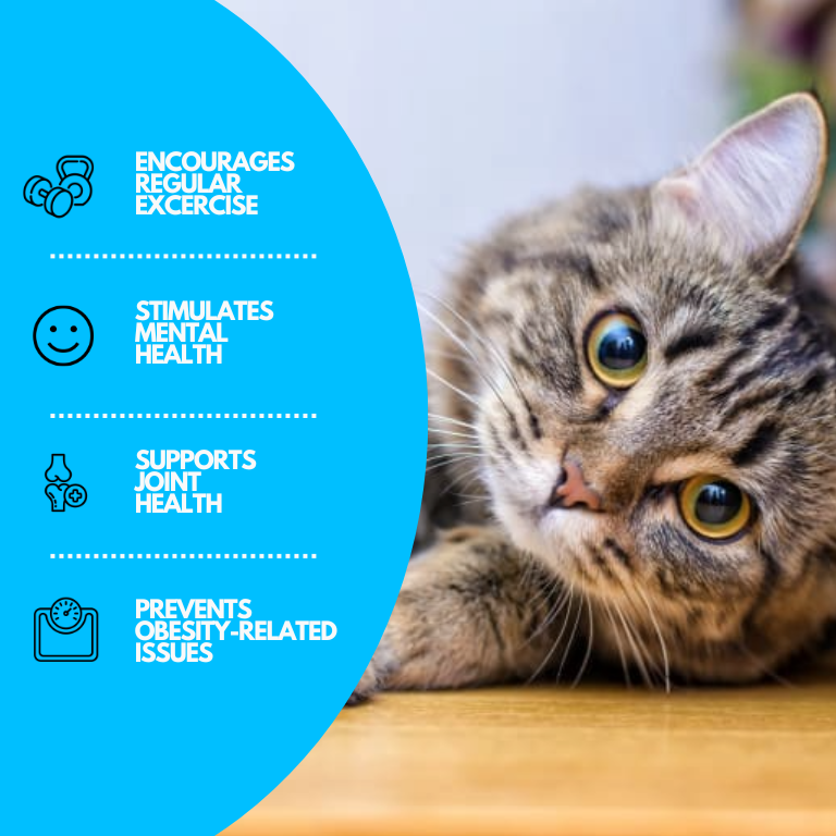 PurrSplash Speelmat | Ultiem waterplezier voor katten